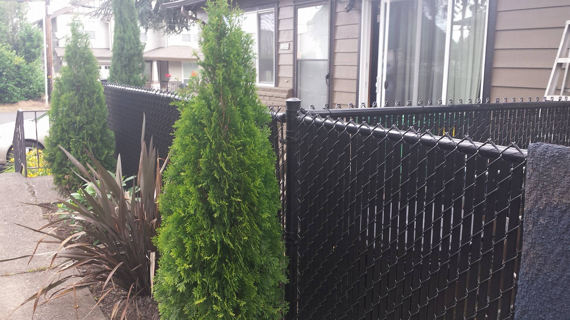 Residential Fence