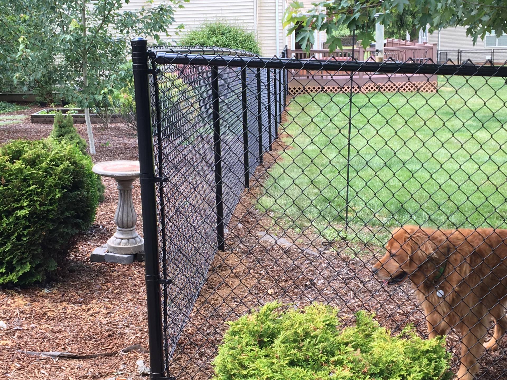Residential Fence