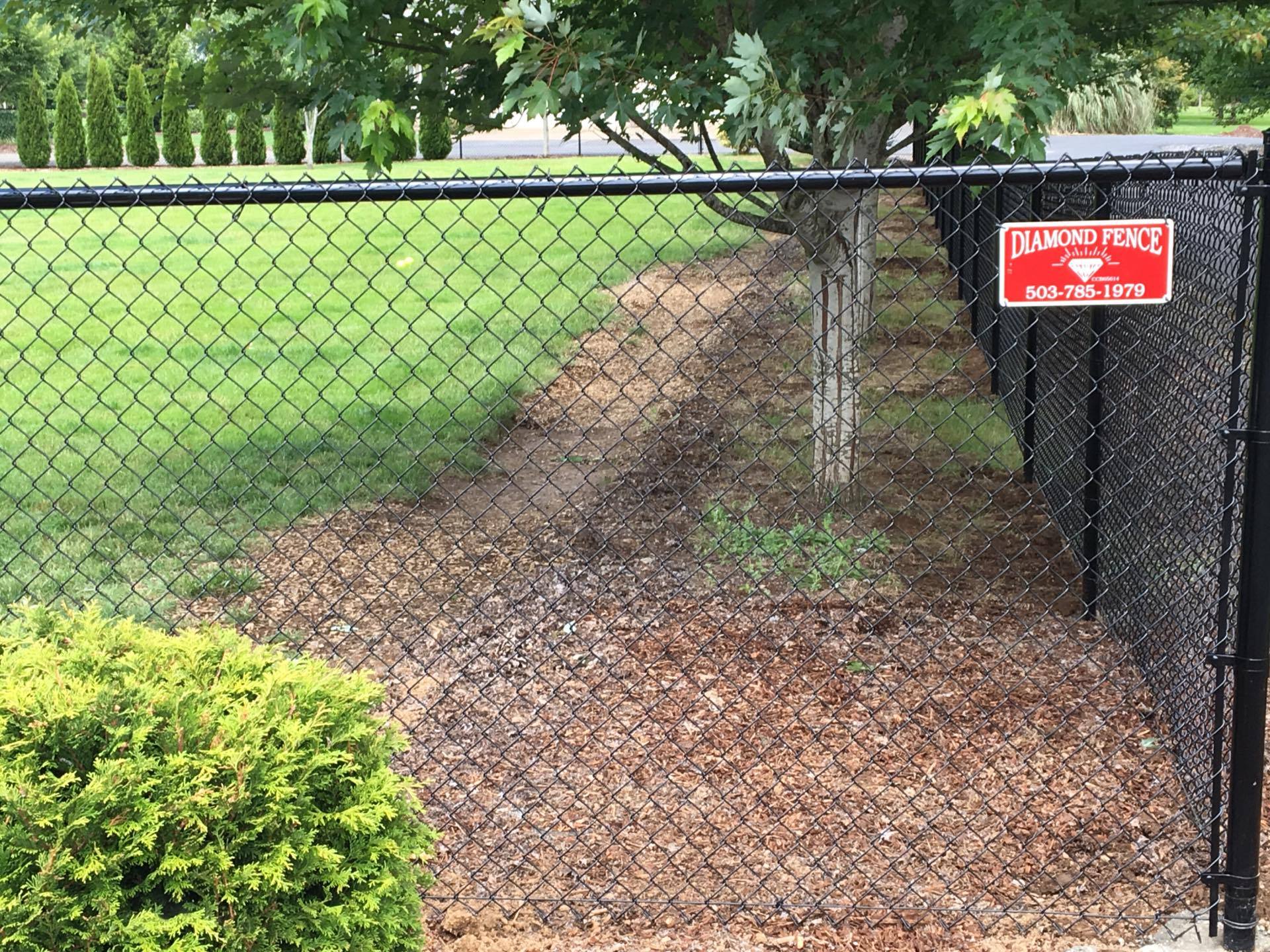 Residential Fence